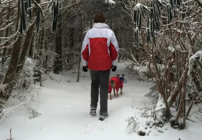 How Physical Therapy Helps Chronic Headaches and Migraines